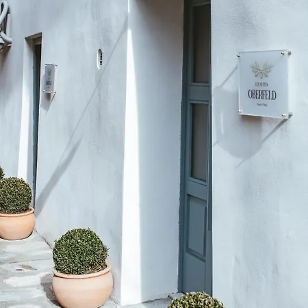 Country House Oberfeld Vipava Exterior photo